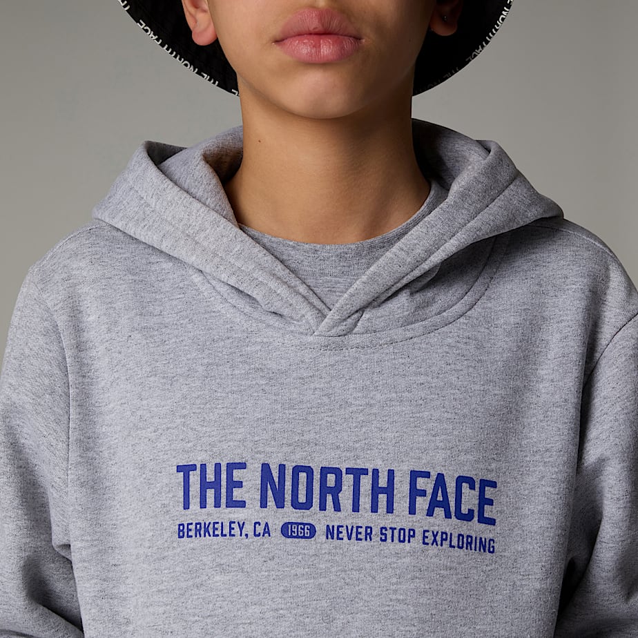 Kids' The North Face Varsity Graphic Relaxed Hoodie Grey | NF0A79S6K
