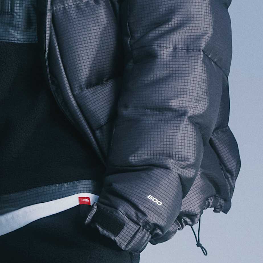 Men The North Face 30th Anniversary Himalayan Parka Grey | NF0A96H6W