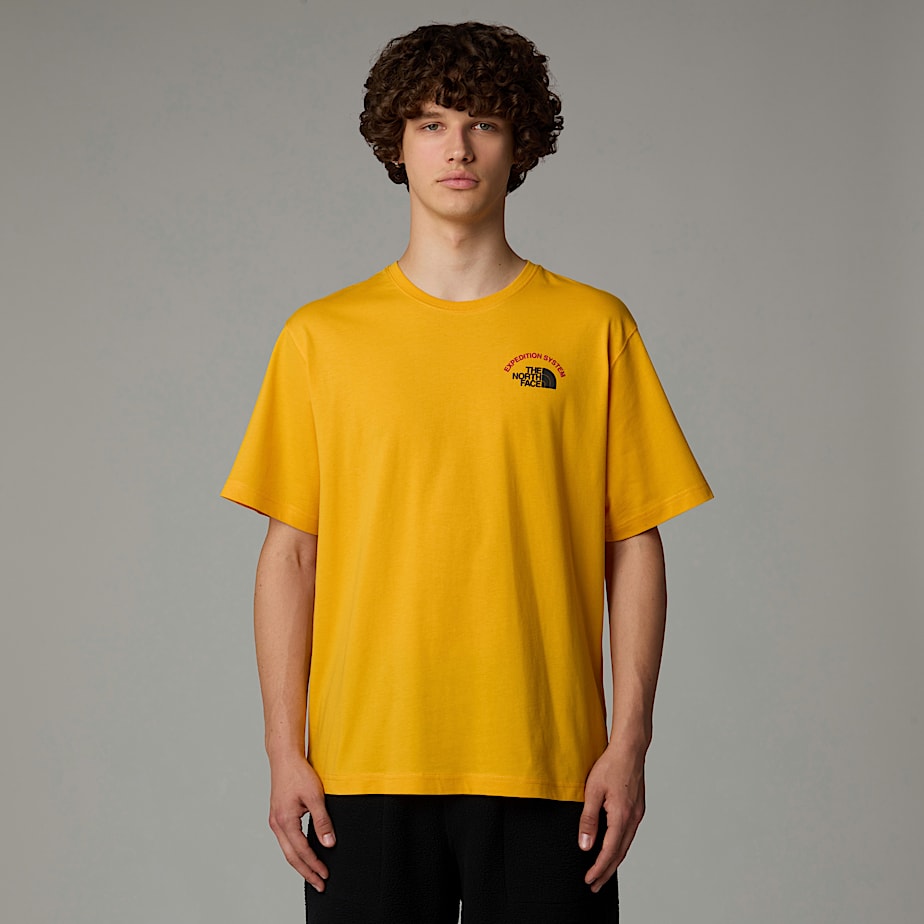 Men The North Face Anniversary T Shirts Gold | NF0A26N1I