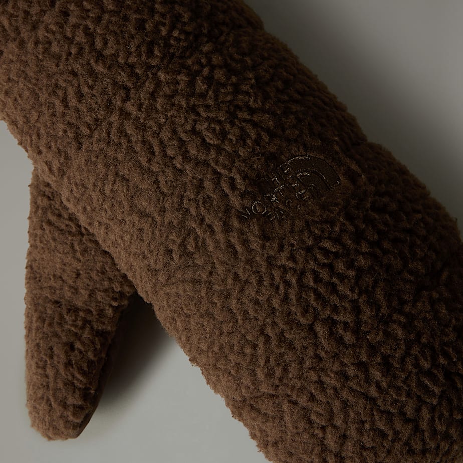 Men The North Face Cragmont Fleece Mittens Brown | NF0A43U4L