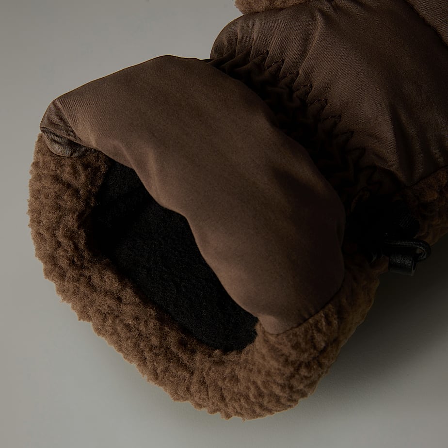 Men The North Face Cragmont Fleece Mittens Brown | NF0A43U4L
