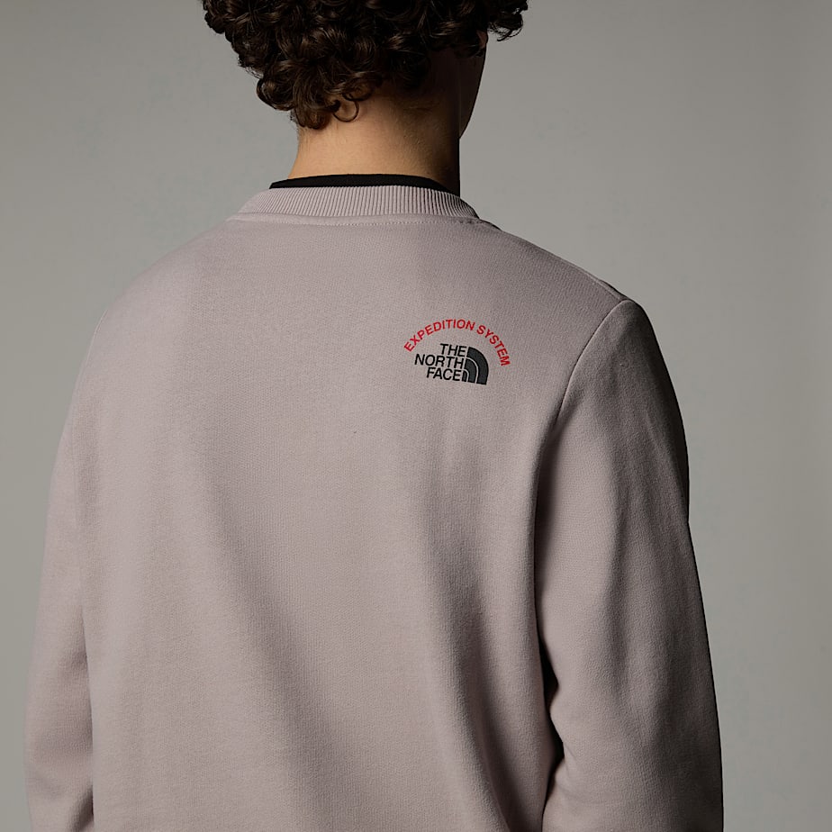 Men The North Face Expedition System Graphic Sweatshirts Grey | NF0A05L7D