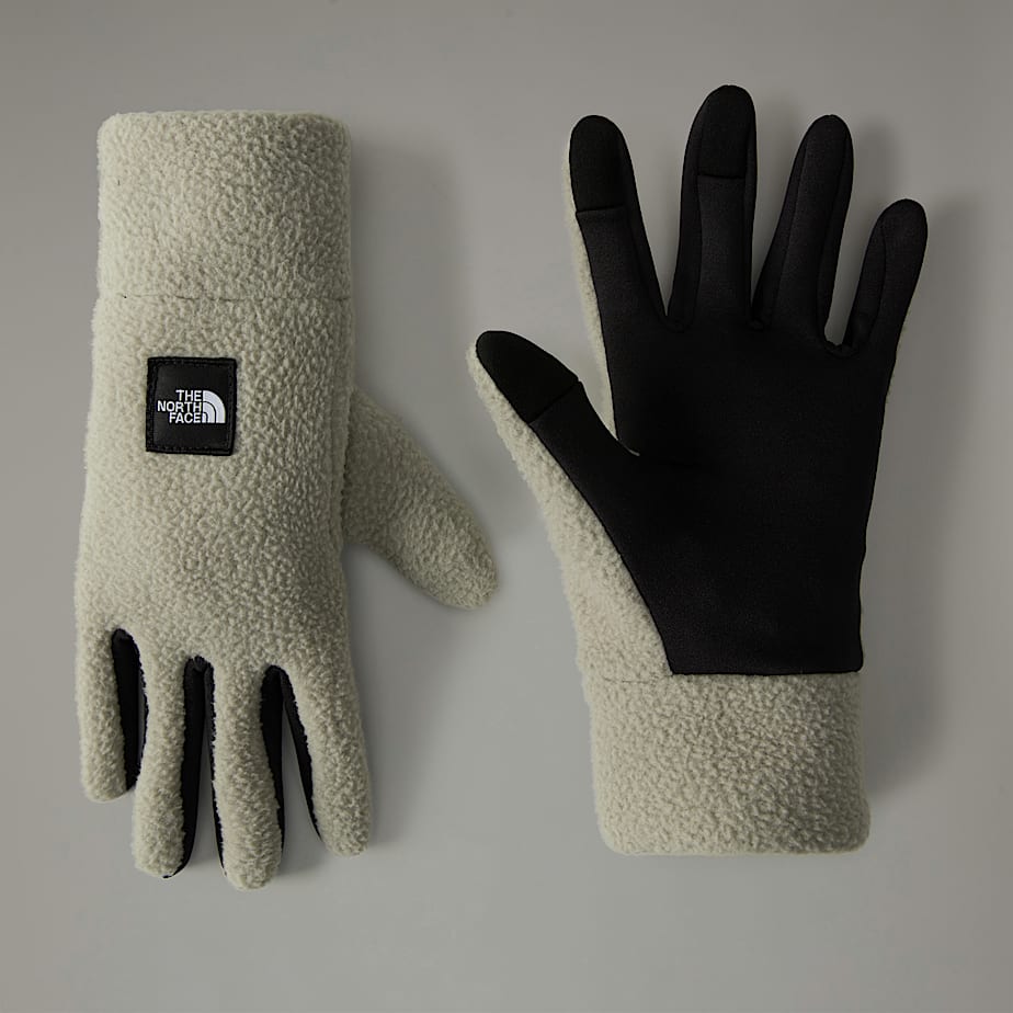Men The North Face Fleeski Etip™ Gloves Grey | NF0A34S1S