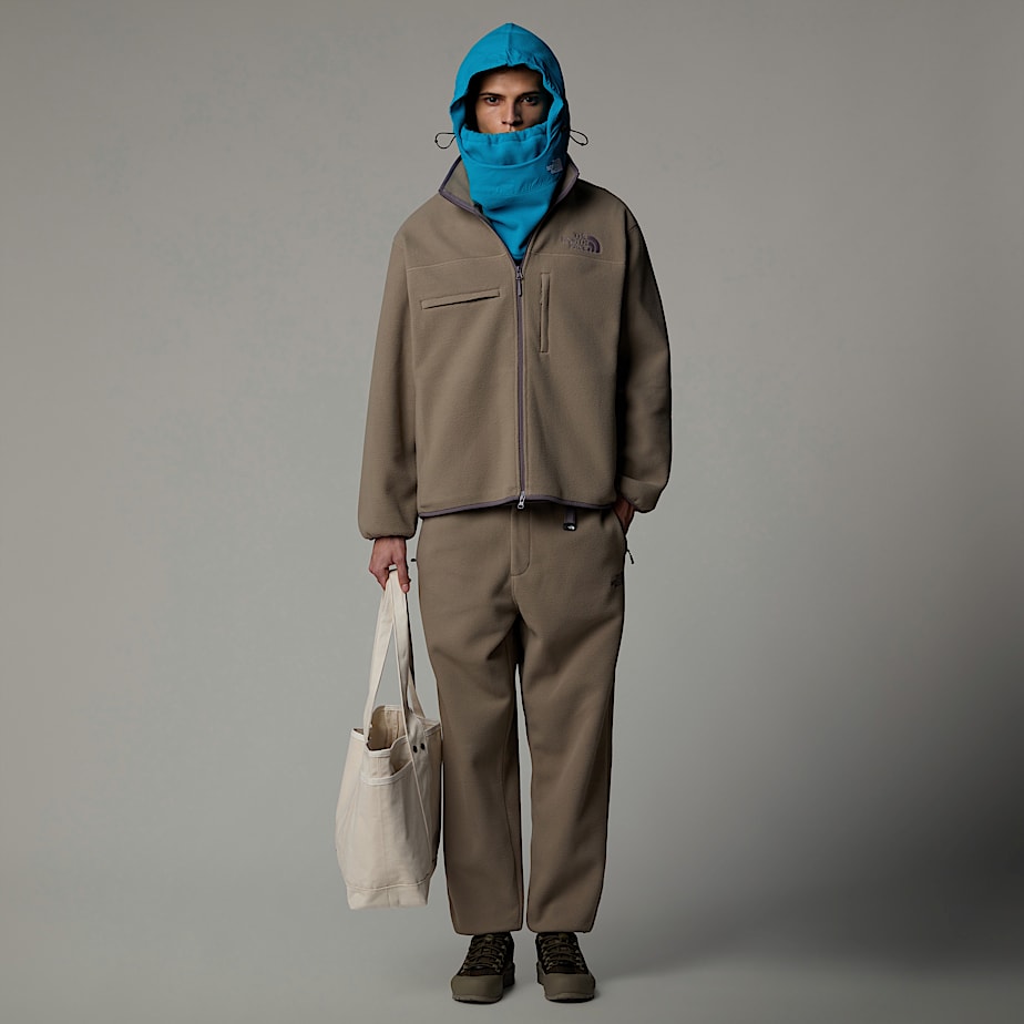 Men The North Face Full-Zip Fleece Jackets Beige | NF0A50F9B