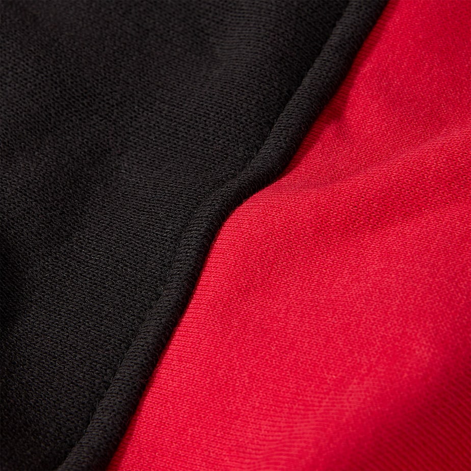 Men The North Face Icons Full-Zip Hoodie Red | NF0A99F2M
