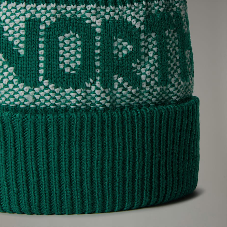 Men The North Face Retro Cabin Beanie Green | NF0A71A7U