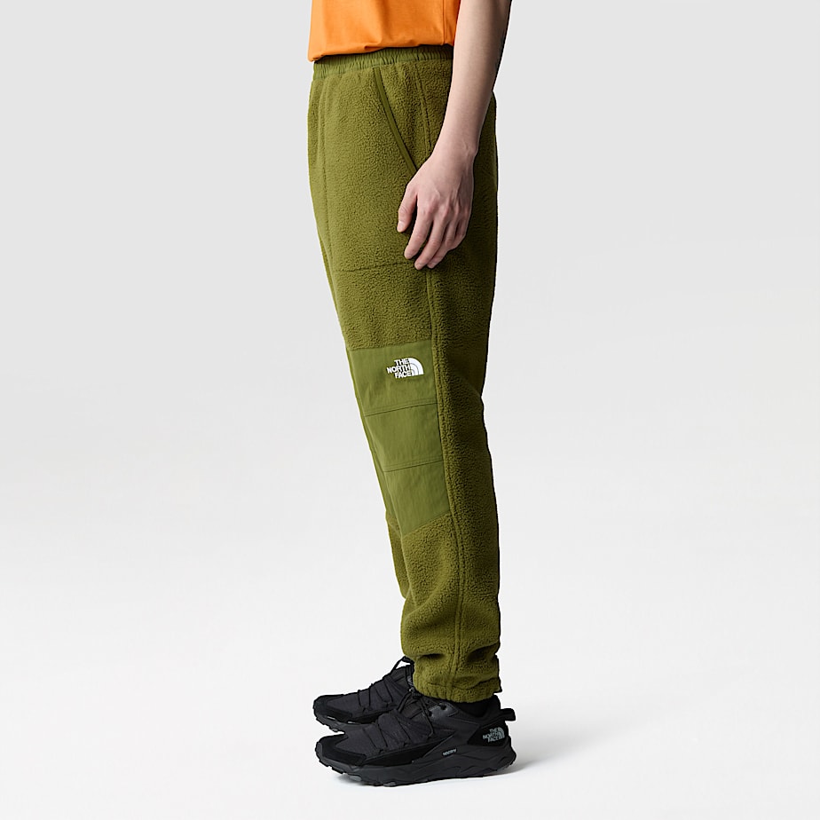 Men The North Face Ripstop Denali Pants Green | NF0A49L4Q