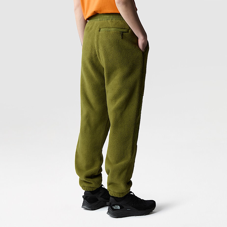 Men The North Face Ripstop Denali Pants Green | NF0A49L4Q