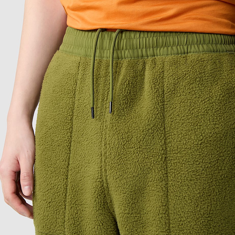 Men The North Face Ripstop Denali Pants Green | NF0A49L4Q