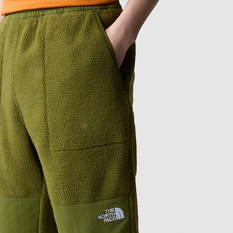 Men The North Face Ripstop Denali Pants Green | NF0A49L4Q