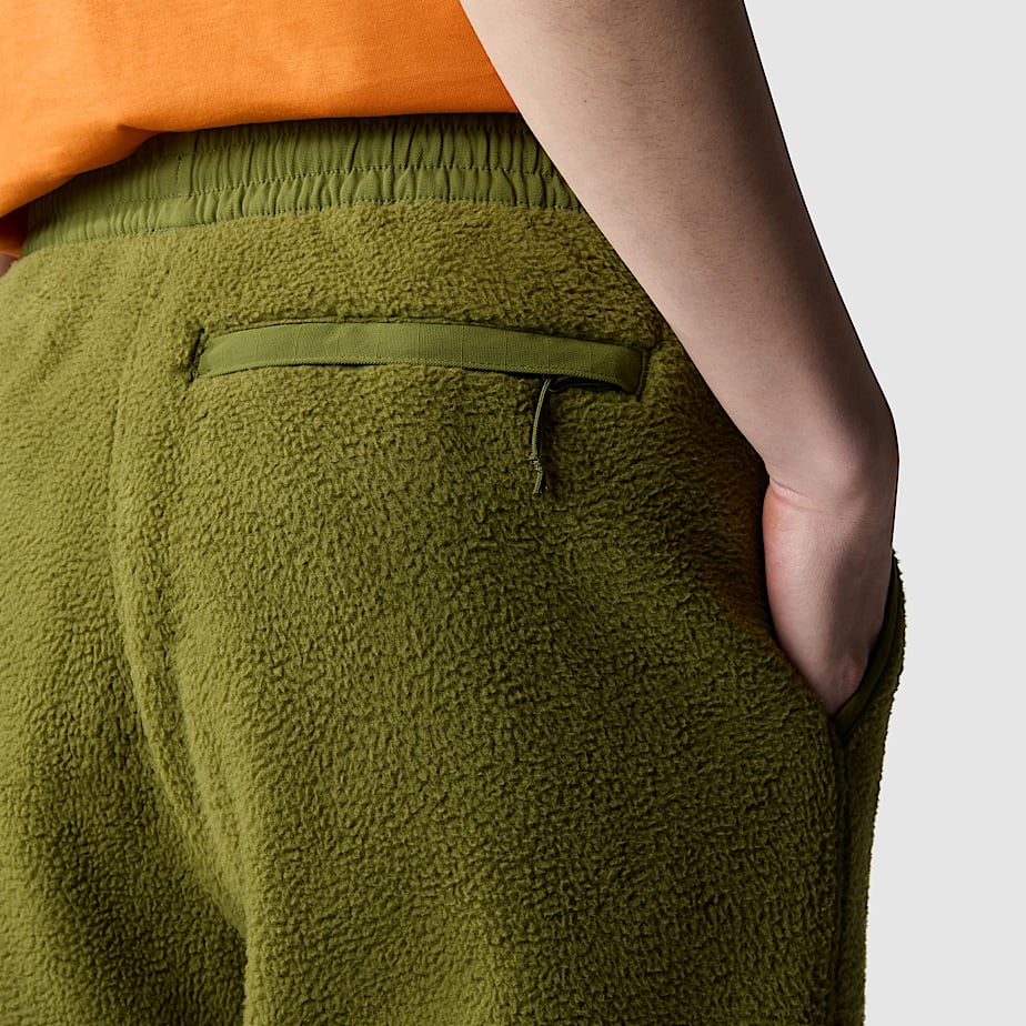 Men The North Face Ripstop Denali Pants Green | NF0A49L4Q
