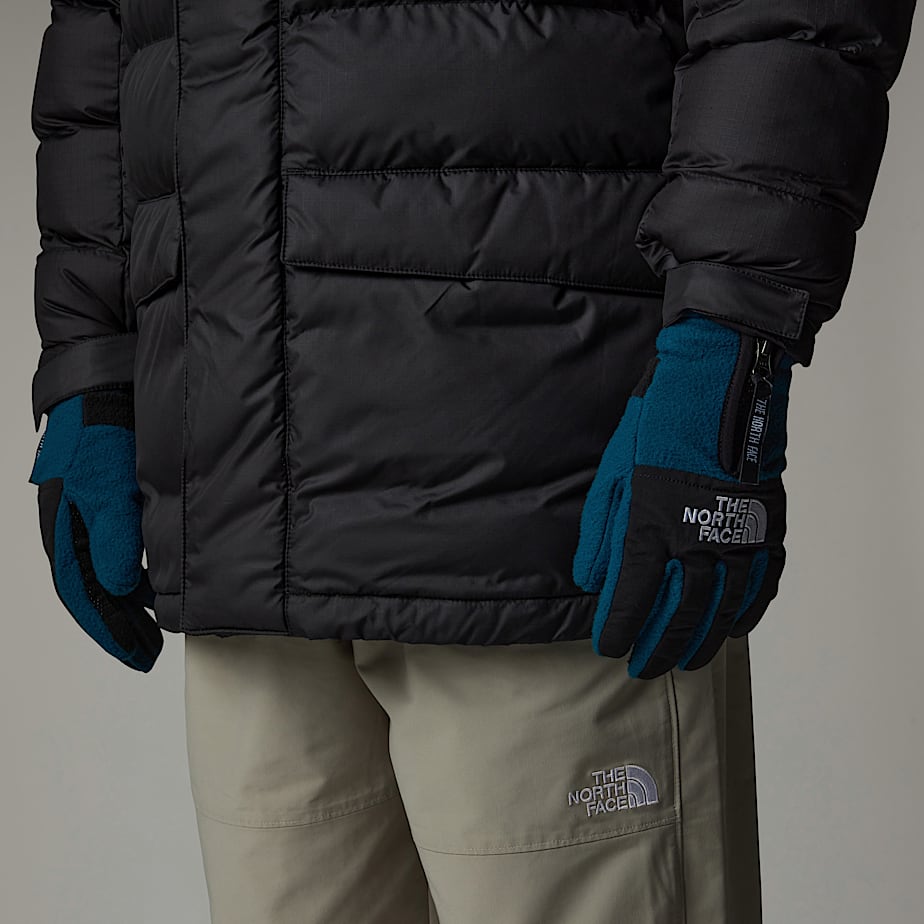 Women The North Face Denali Etip™ Gloves Navy | NF0A78S8A