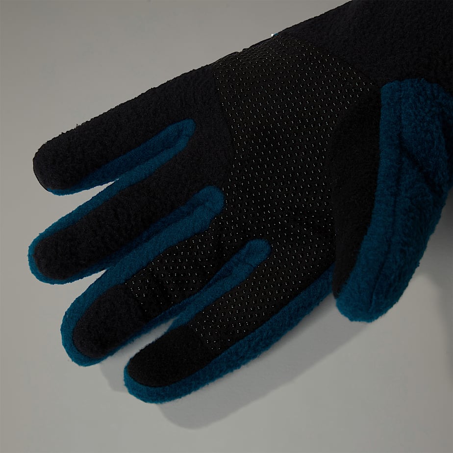 Women The North Face Denali Etip™ Gloves Navy | NF0A78S8A