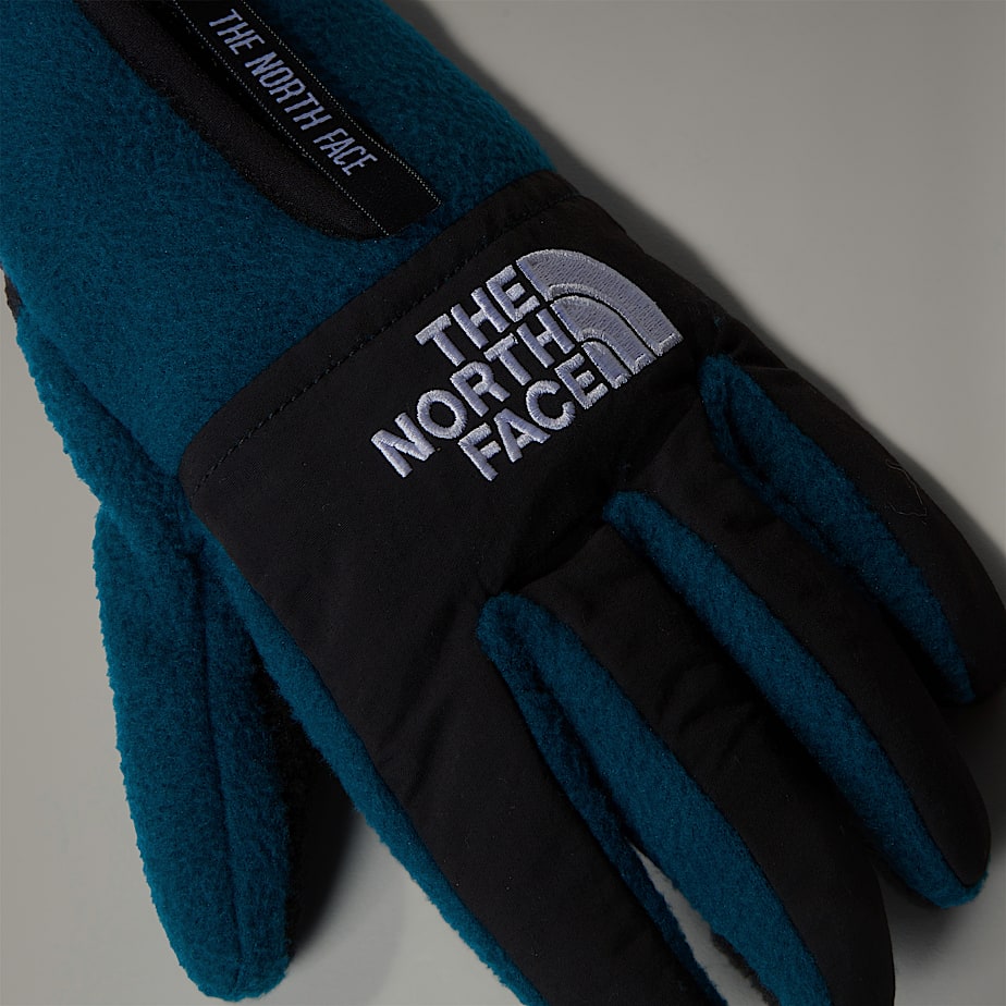 Women The North Face Denali Etip™ Gloves Navy | NF0A78S8A