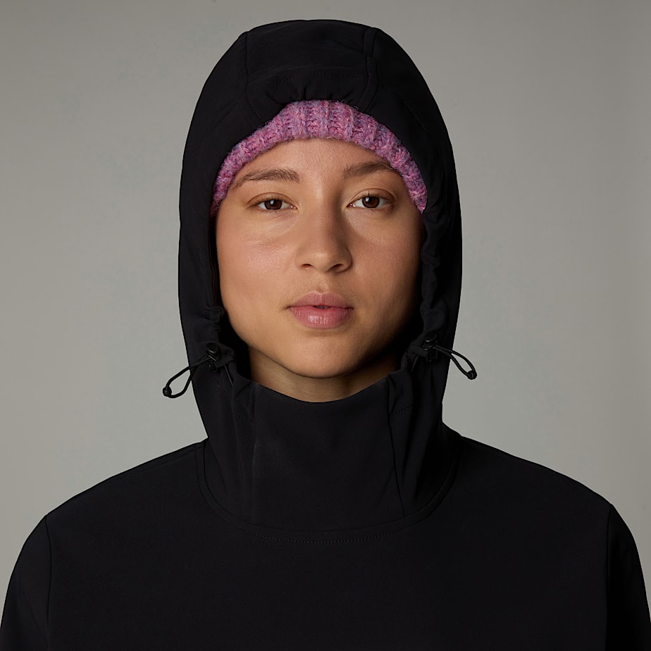 Women The North Face Tekno Hoodie Pullover Black | NF0A68S5X